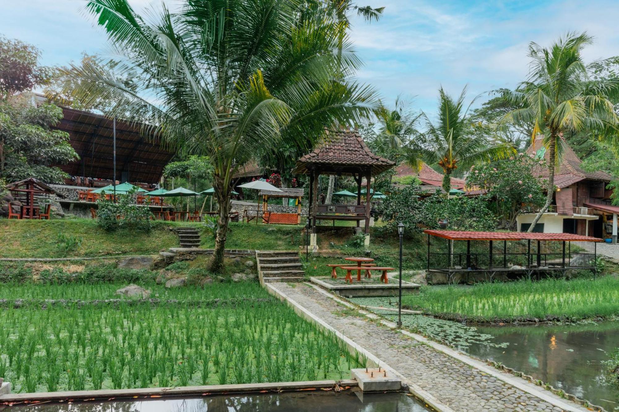 Padi Heritage Hotel Malang Exteriér fotografie
